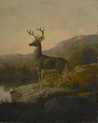 unknow artist Deer china oil painting artist